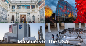 Museums In The USA