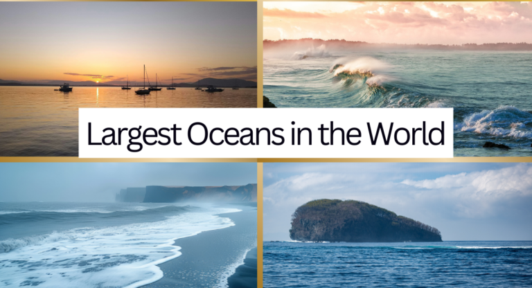 Largest Oceans in the World