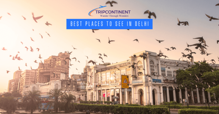 Best Places to See in Delhi