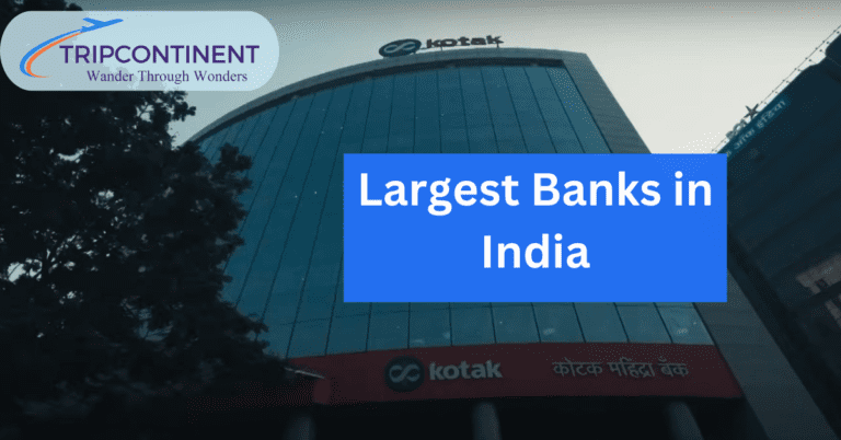 Largest Banks in India