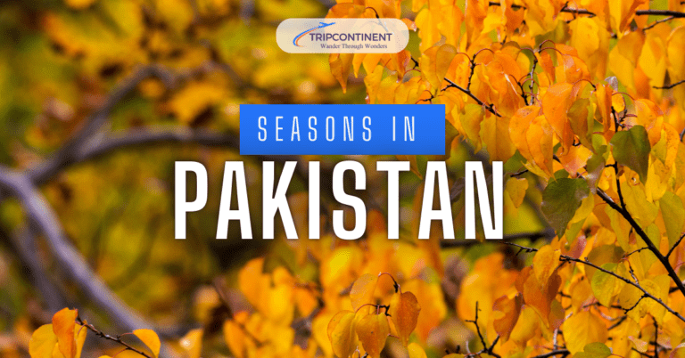 Season in Pakistan