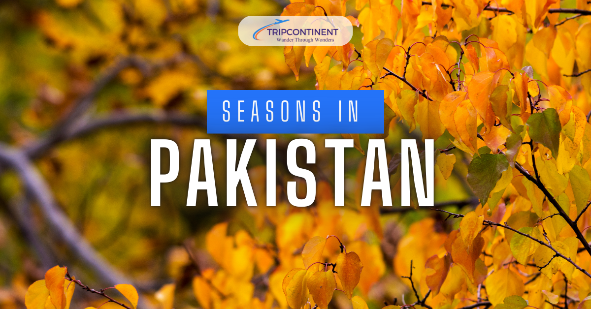 4 Beautiful Seasons of Pakistan